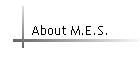About M.E.S.